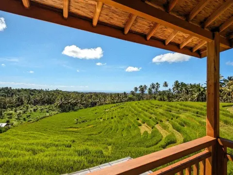 View of lush green rice terraces and palm trees from a wooden balcony.