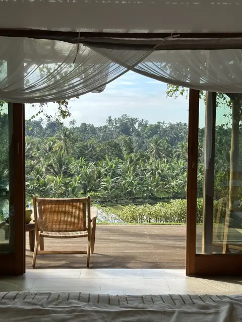 View from a luxury suite featuring white canopy curtains and a jungle landscape.