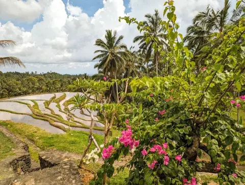 Puri Dajuma Terrace Eco Lodge Spa Bali View from Villa